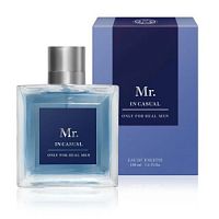 Mr. In Casual  100мл муж т.в.  /24  пл,м   ВП