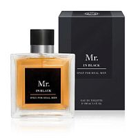 Mr. In Black 100мл муж т.в.  /24  пл,м