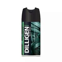 DILLIGEN Дезодорант спрей White Wood 150мл/24